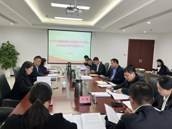 党员领导干部组织生活会.png